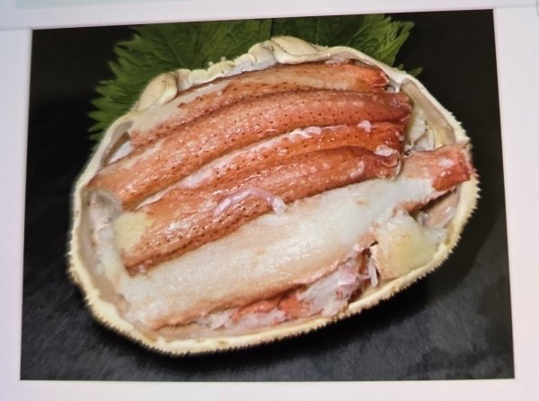 画像1: オオズワイガニ 甲羅盛り (1)